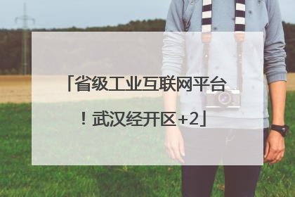 省级工业互联网平台！武汉经开区+2