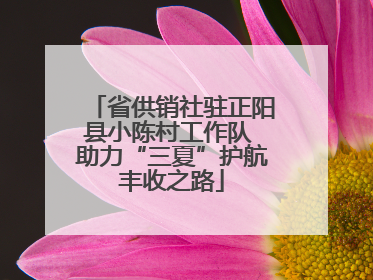 省供销社驻正阳县小陈村工作队 助力“三夏”护航丰收之路