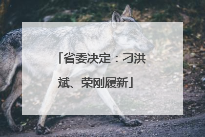 省委决定：刁洪斌、荣刚履新