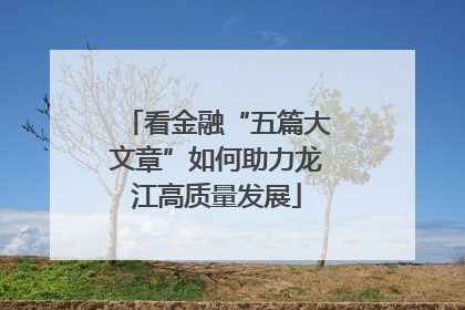 看金融“五篇大文章”如何助力龙江高质量发展