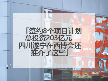 签约8个项目计划总投资203亿元 四川遂宁在西博会还推介了这些