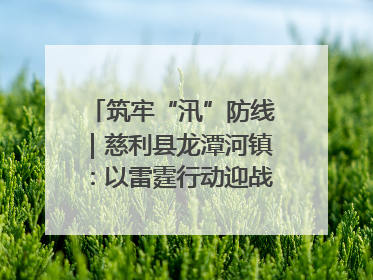筑牢“汛”防线｜慈利县龙潭河镇：以雷霆行动迎战暴雨洪峰