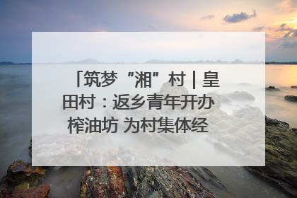 筑梦“湘”村｜皇田村：返乡青年开办榨油坊 为村集体经济“加油”