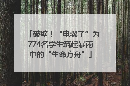 破壁！“电骡子”为774名学生筑起暴雨中的“生命方舟”