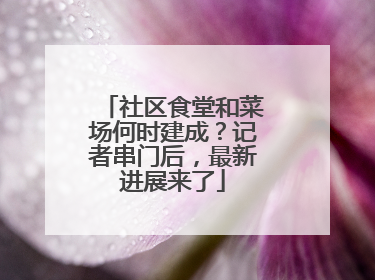 社区食堂和菜场何时建成？记者串门后，最新进展来了