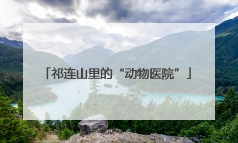 祁连山里的“动物医院”