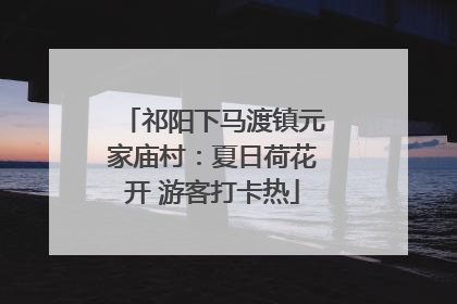 祁阳下马渡镇元家庙村：夏日荷花开 游客打卡热
