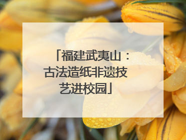 福建武夷山：古法造纸非遗技艺进校园