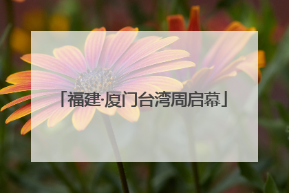 福建·厦门台湾周启幕