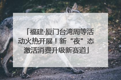 福建·厦门台湾周等活动火热开展！新“夜”态激活消费升级新赛道