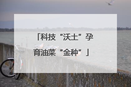 科技“沃土”孕育油菜“金种”