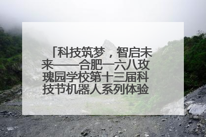 科技筑梦，智启未来——合肥一六八玫瑰园学校第十三届科技节机器人系列体验赛燃动校园