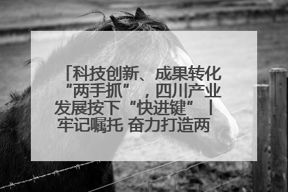 科技创新、成果转化“两手抓”，四川产业发展按下“快进键”丨牢记嘱托 奋力打造两高地两基地一屏障