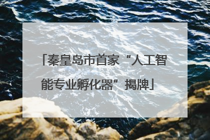 秦皇岛市首家“人工智能专业孵化器”揭牌