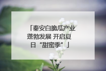 秦安白脆瓜产业蓬勃发展 开启夏日“甜蜜季”