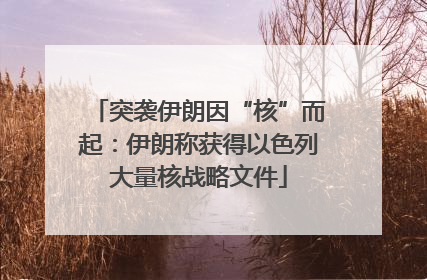 突袭伊朗因“核”而起：伊朗称获得以色列大量核战略文件