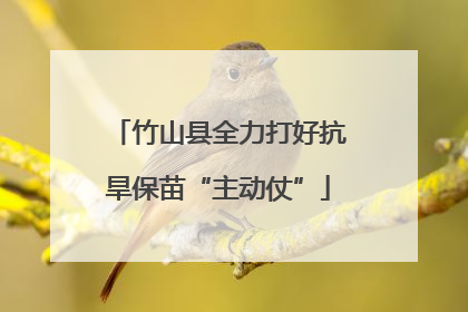 竹山县全力打好抗旱保苗“主动仗”
