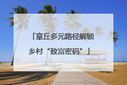 章丘多元路径解锁乡村“致富密码”