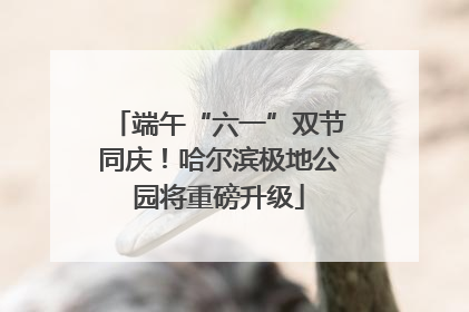 端午“六一”双节同庆！哈尔滨极地公园将重磅升级