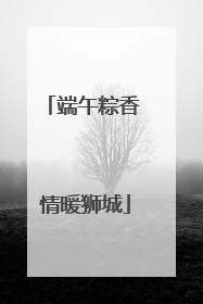 端午粽香 情暖狮城