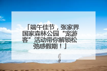端午佳节，张家界国家森林公园“宠游客”活动带你解锁松弛感假期！