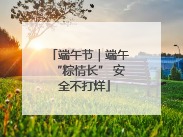 端午节｜端午“粽情长” 安全不打烊