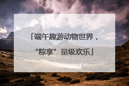 端午趣游动物世界，“粽享”量级欢乐