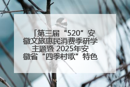第三届“520”安徽文旅惠民消费季研学主题暨 2025年安徽省“四季村歌”特色展演燃动池州