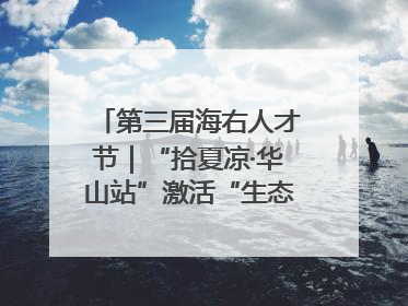 第三届海右人才节｜“拾夏凉·华山站”激活“生态聚才”强磁场