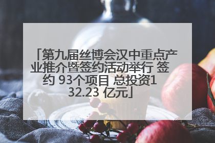 第九届丝博会汉中重点产业推介暨签约活动举行 签约 93个项目 总投资132.23 亿元