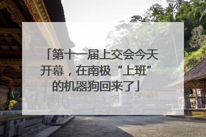 第十一届上交会今天开幕，在南极“上班”的机器狗回来了