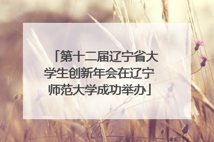 第十二届辽宁省大学生创新年会在辽宁师范大学成功举办