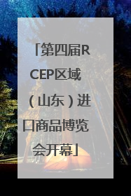 第四届RCEP区域（山东）进口商品博览会开幕