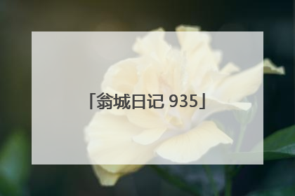 翁城日记 935