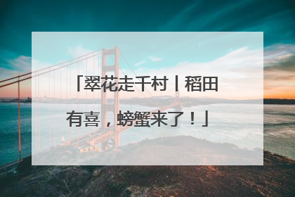 翠花走千村丨稻田有喜，螃蟹来了！