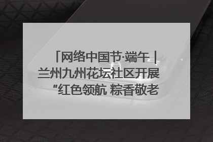 网络中国节·端午｜兰州九州花坛社区开展“红色领航 粽香敬老”端午主题活动