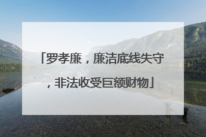 罗孝廉，廉洁底线失守，非法收受巨额财物