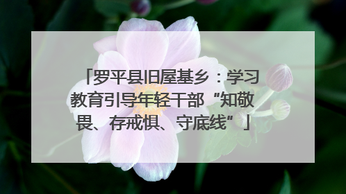 罗平县旧屋基乡：学习教育引导年轻干部“知敬畏、存戒惧、守底线”