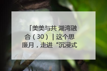 美美与共 湖湾融合（30）｜这个思廉月，走进“沉浸式”清风课堂