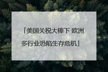 美国关税大棒下 欧洲多行业恐陷生存危机