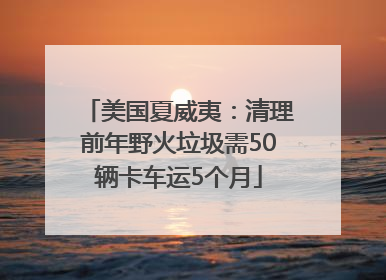 美国夏威夷：清理前年野火垃圾需50辆卡车运5个月