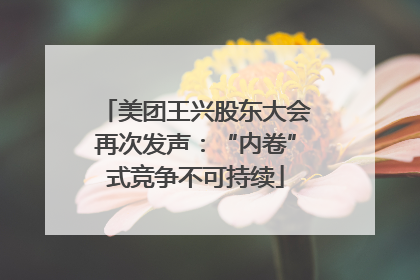 美团王兴股东大会再次发声：“内卷”式竞争不可持续