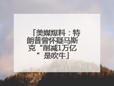 美媒爆料：特朗普曾怀疑马斯克“削减1万亿”是吹牛