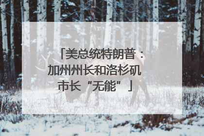 美总统特朗普：加州州长和洛杉矶市长“无能”