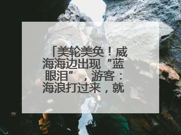 美轮美奂！威海海边出现“蓝眼泪”，游客：海浪打过来，就像星河一样
