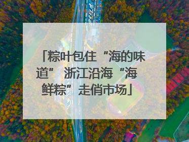 粽叶包住“海的味道” 浙江沿海“海鲜粽”走俏市场