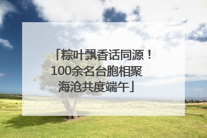 粽叶飘香话同源！100余名台胞相聚海沧共度端午