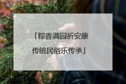 粽香满园祈安康 传统民俗乐传承