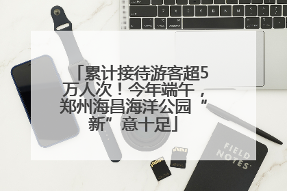 累计接待游客超5万人次！今年端午，郑州海昌海洋公园“新”意十足
