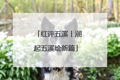 红评五溪丨潮起五溪绘新篇